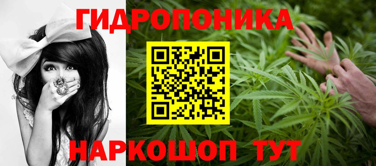 Бошки Шишки Bruce Banner Зима